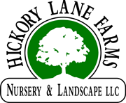 Hickory Lane Farms