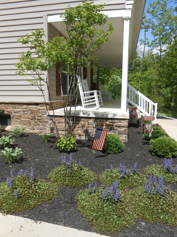 Wholesale Landscaping Plants in Columbus & Marysville, OH